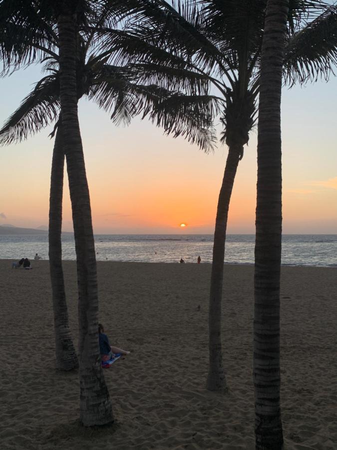 Palm Apartamento